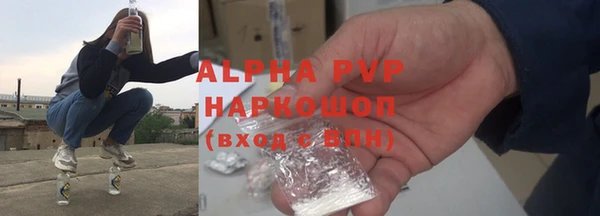 стафф Приозерск