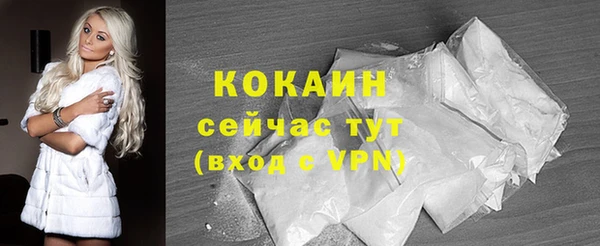 мдпв Протвино